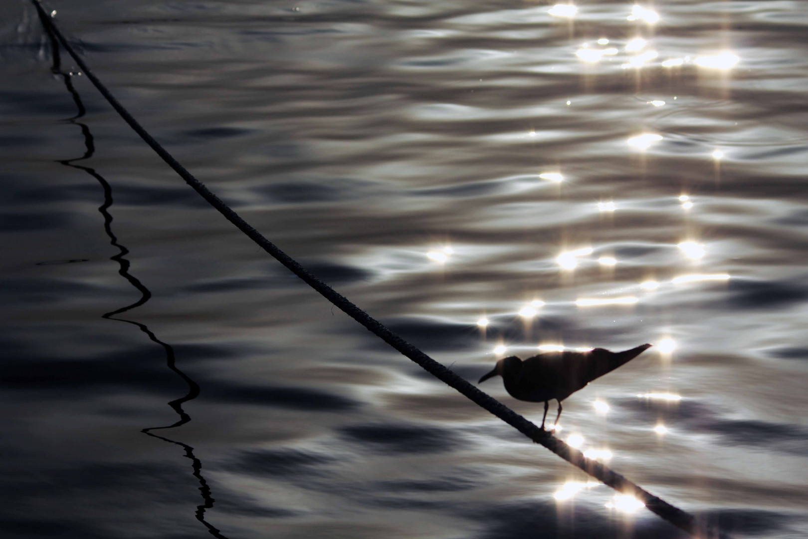 reflet sur la mer