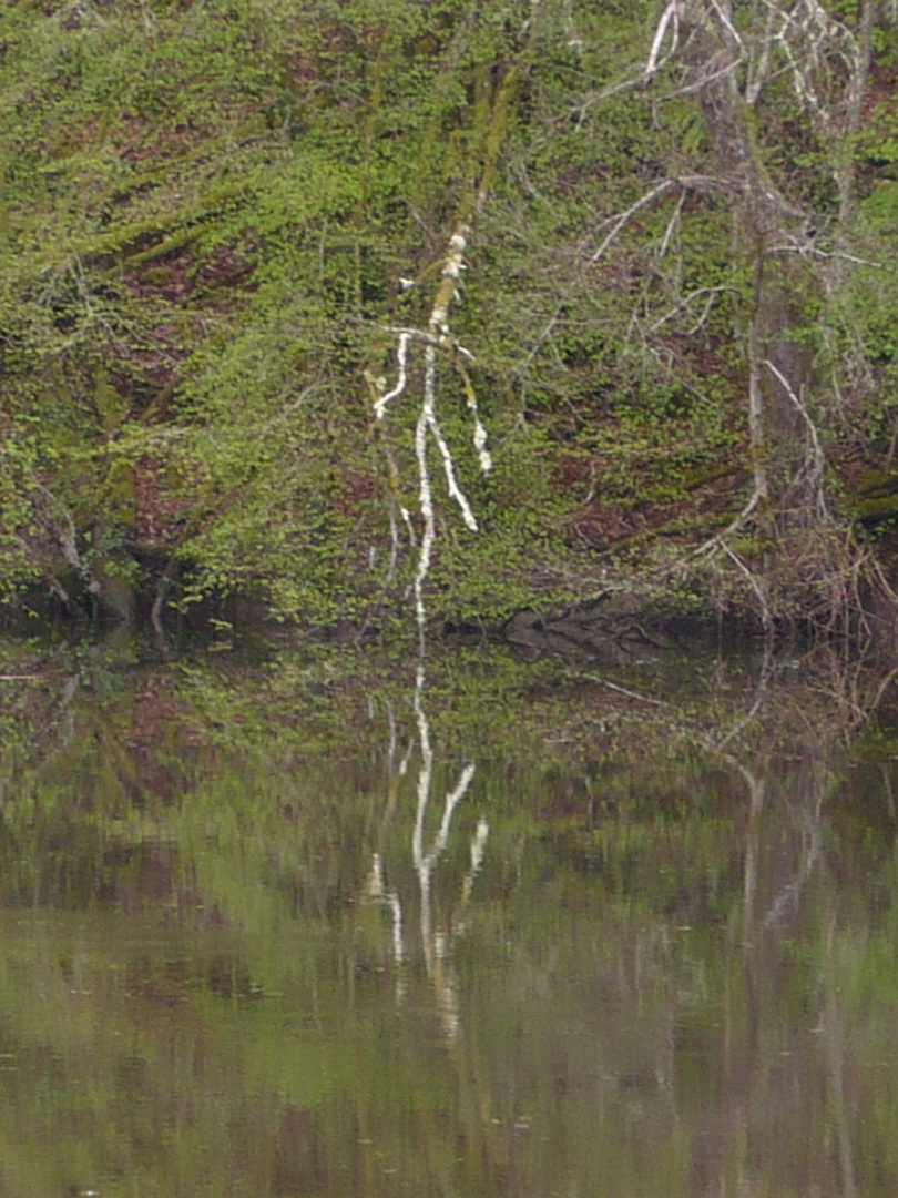 Reflet sur la Vézère