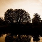 reflet sur le canal