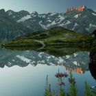 Reflet sur le lac du LAUZET (05)