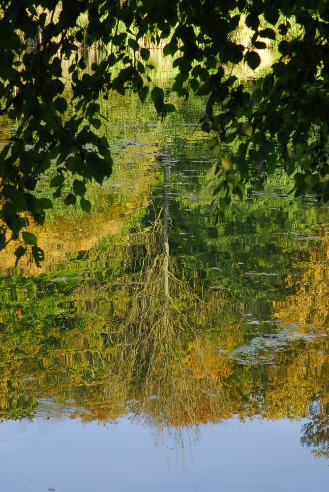 Reflet sur l'eau