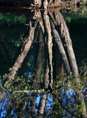 REFLET SUR SORGUE