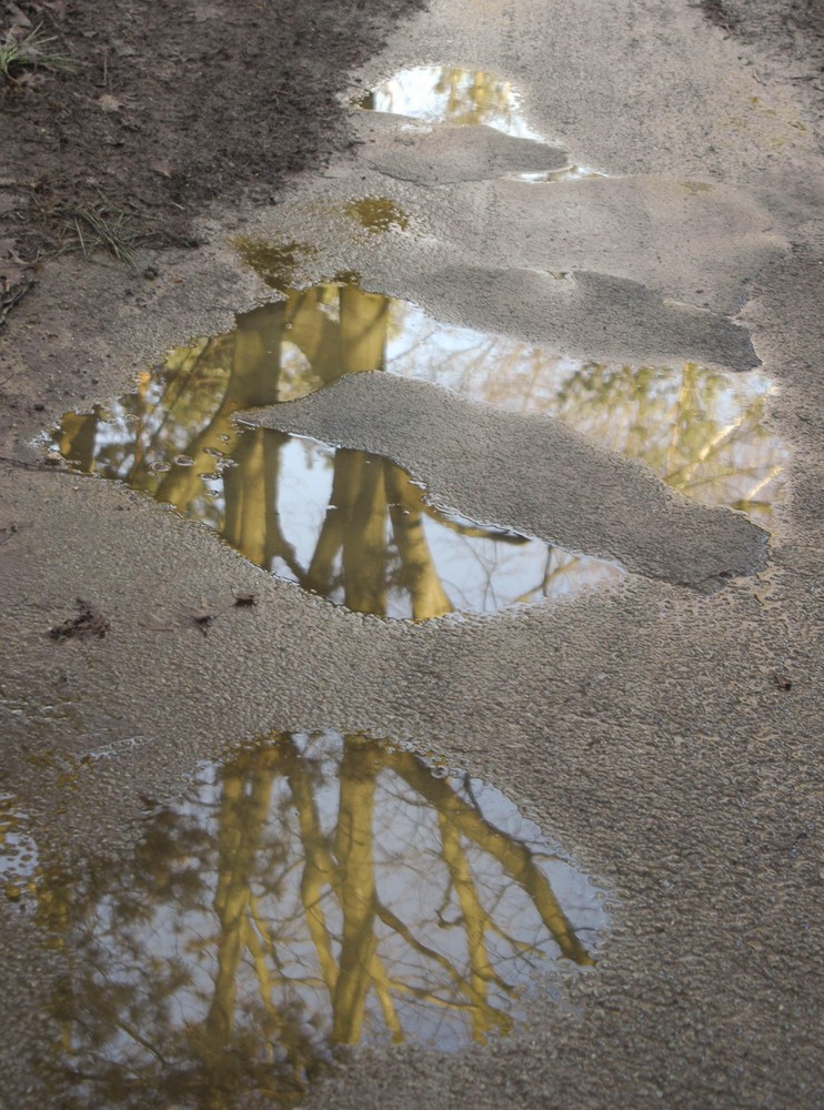 Reflets 1