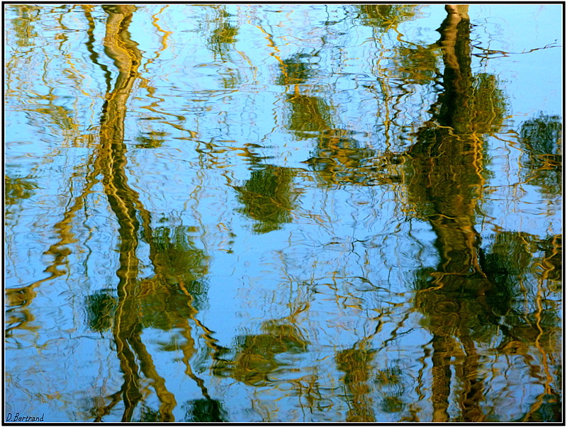 reflets..