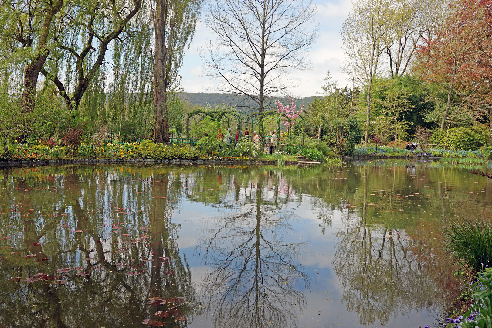 Reflets.... à Giverny