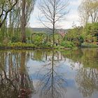 Reflets.... à Giverny