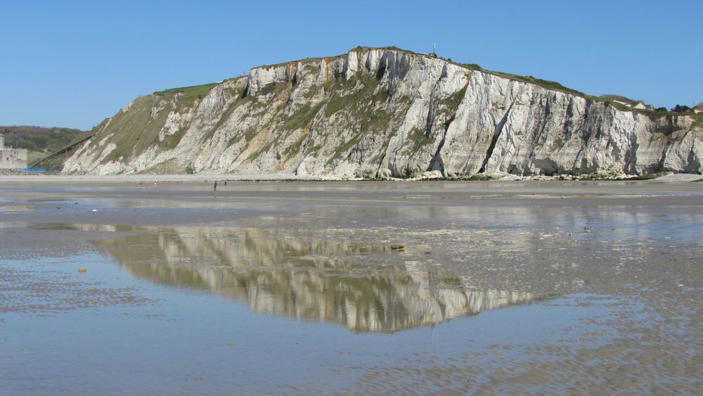 ..Reflets à marée basse...