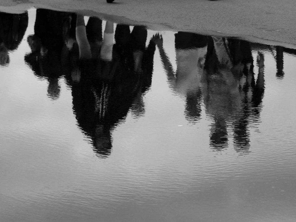 Reflets après la pluie