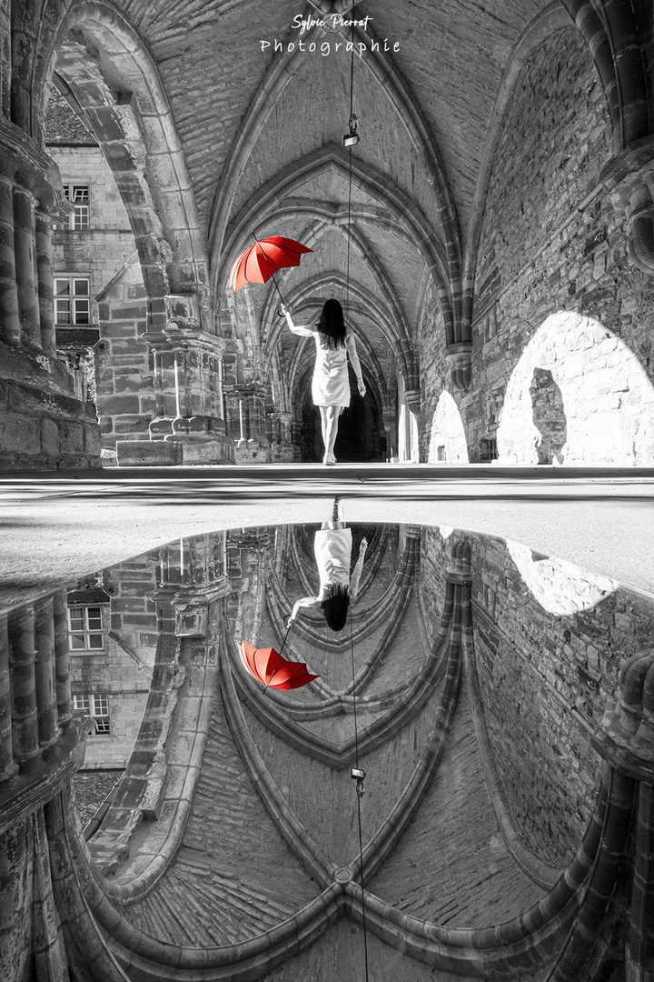 Reflets au cloître