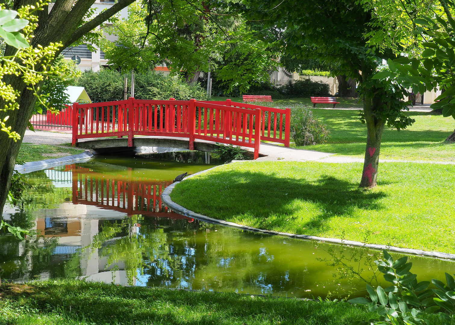 Reflets au Jardin Jayan  -  Agen