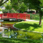 Reflets au Jardin Jayan  -  Agen