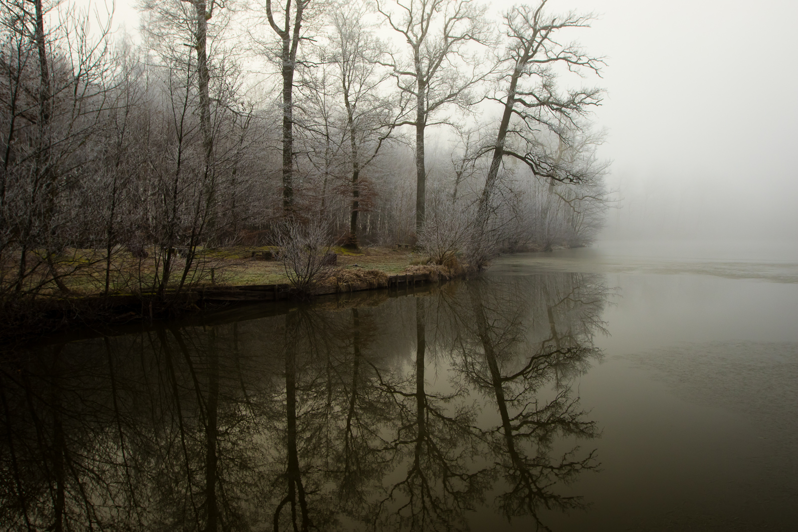 Reflets au milieu de la brume,