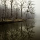 Reflets au milieu de la brume,