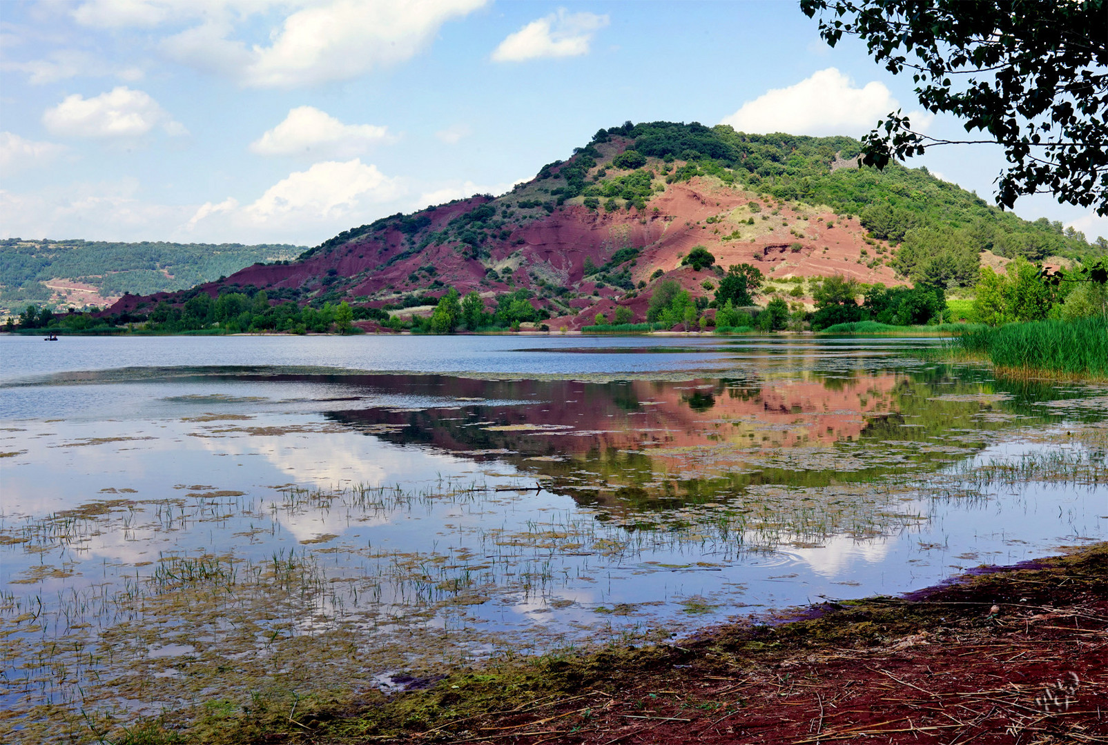 Reflets au Salagou