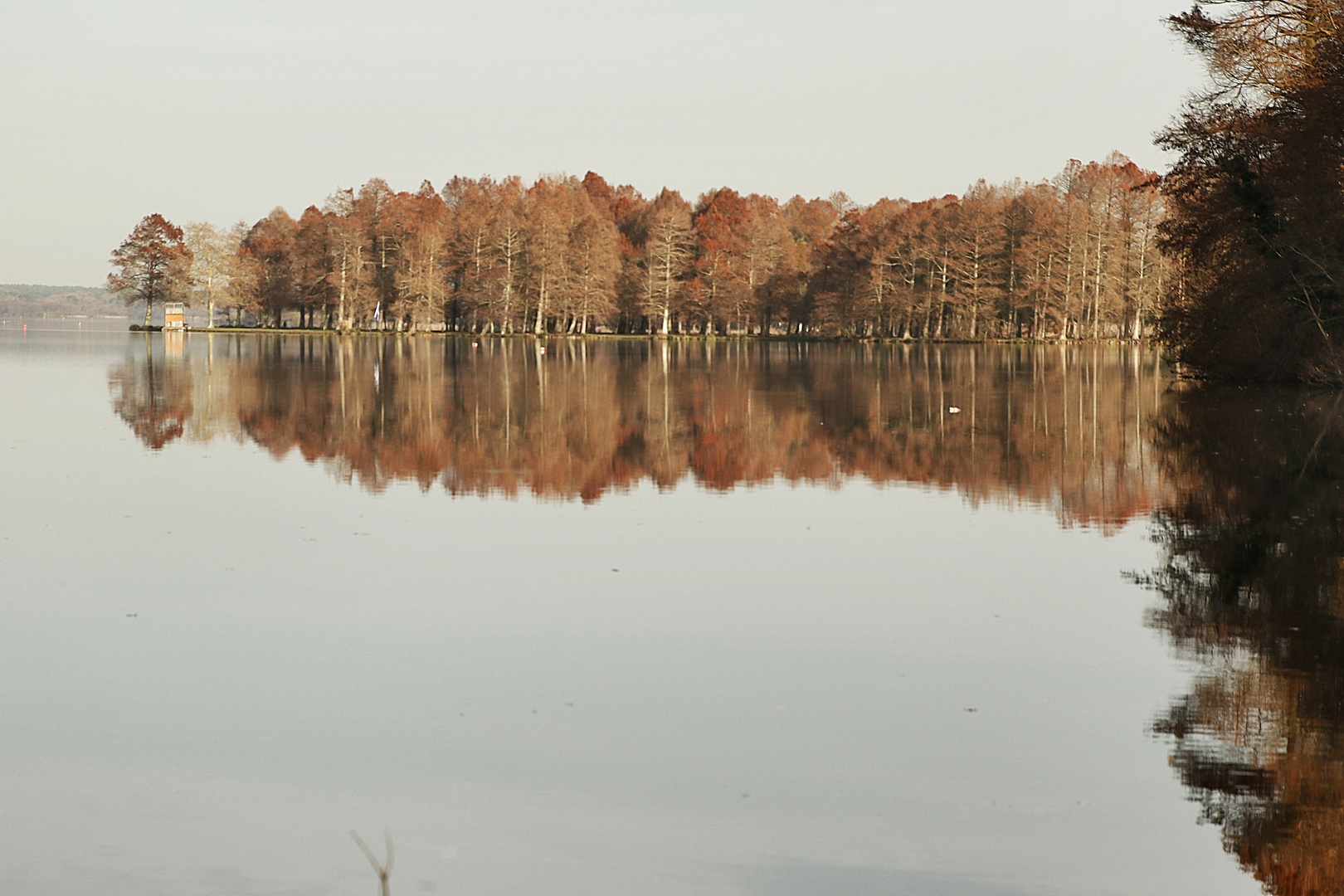 reflets autour du lac !