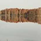 reflets autour du lac !