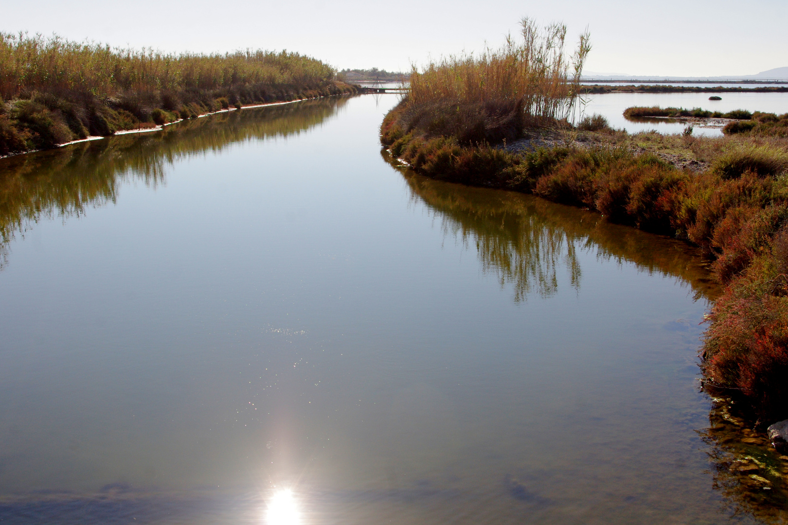 Reflets bruns .....