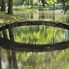 Reflets champêtres