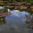 reflets chez Monet