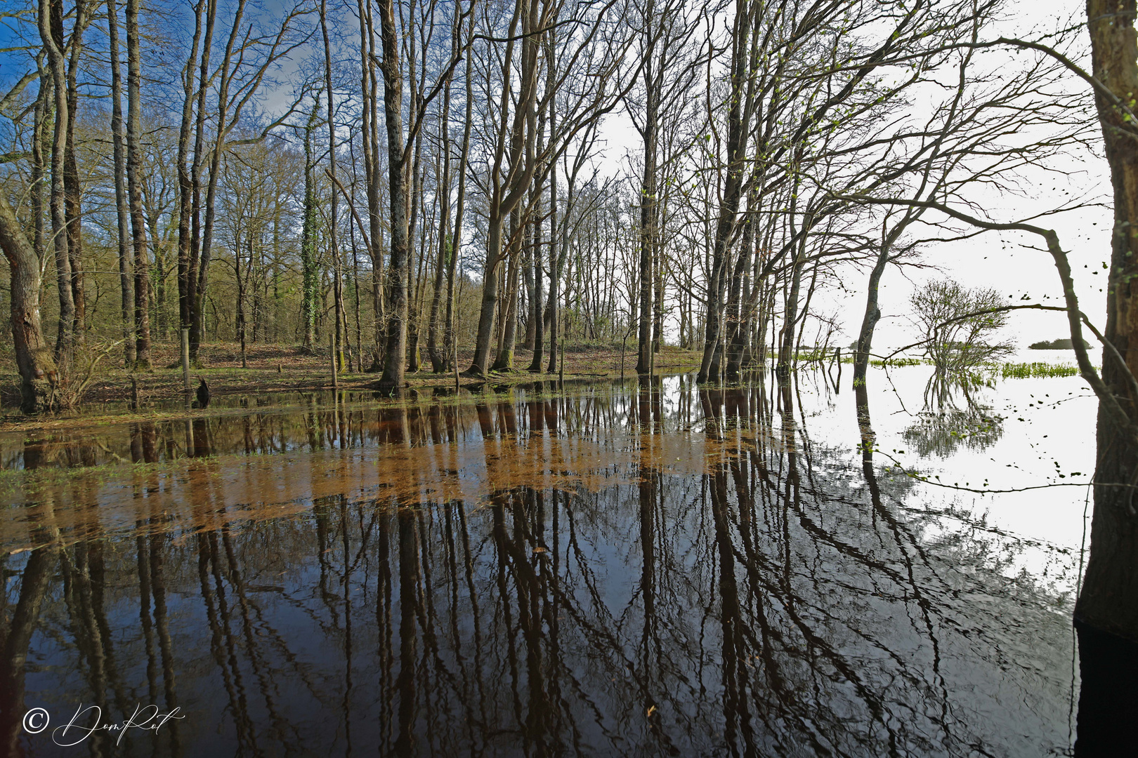 reflets couleur 2 ©