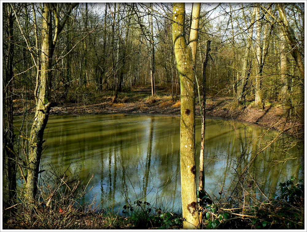 REFLETS CROISES .