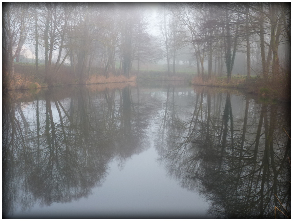 REFLETS DANS LA BRUME