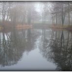 REFLETS DANS LA BRUME