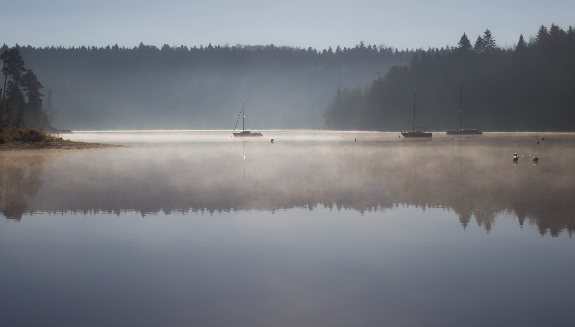 Reflets dans la brume