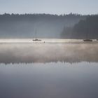 Reflets dans la brume