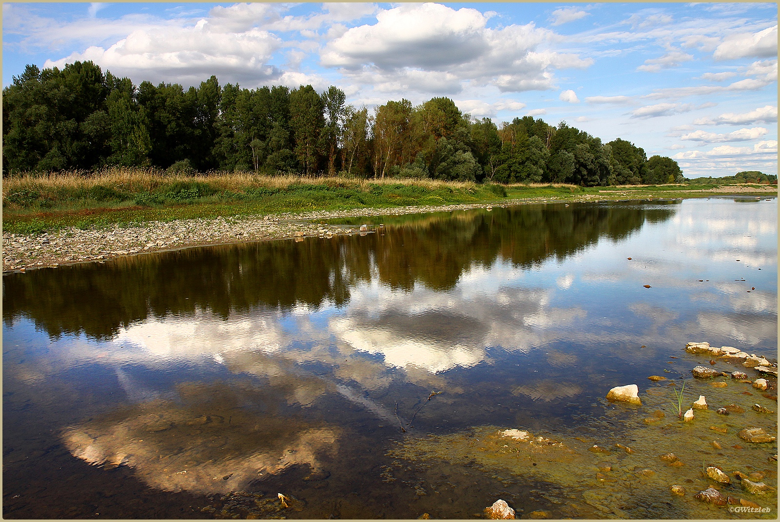 Reflets dans la Loire