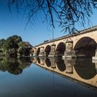 reflets dans la Moselle