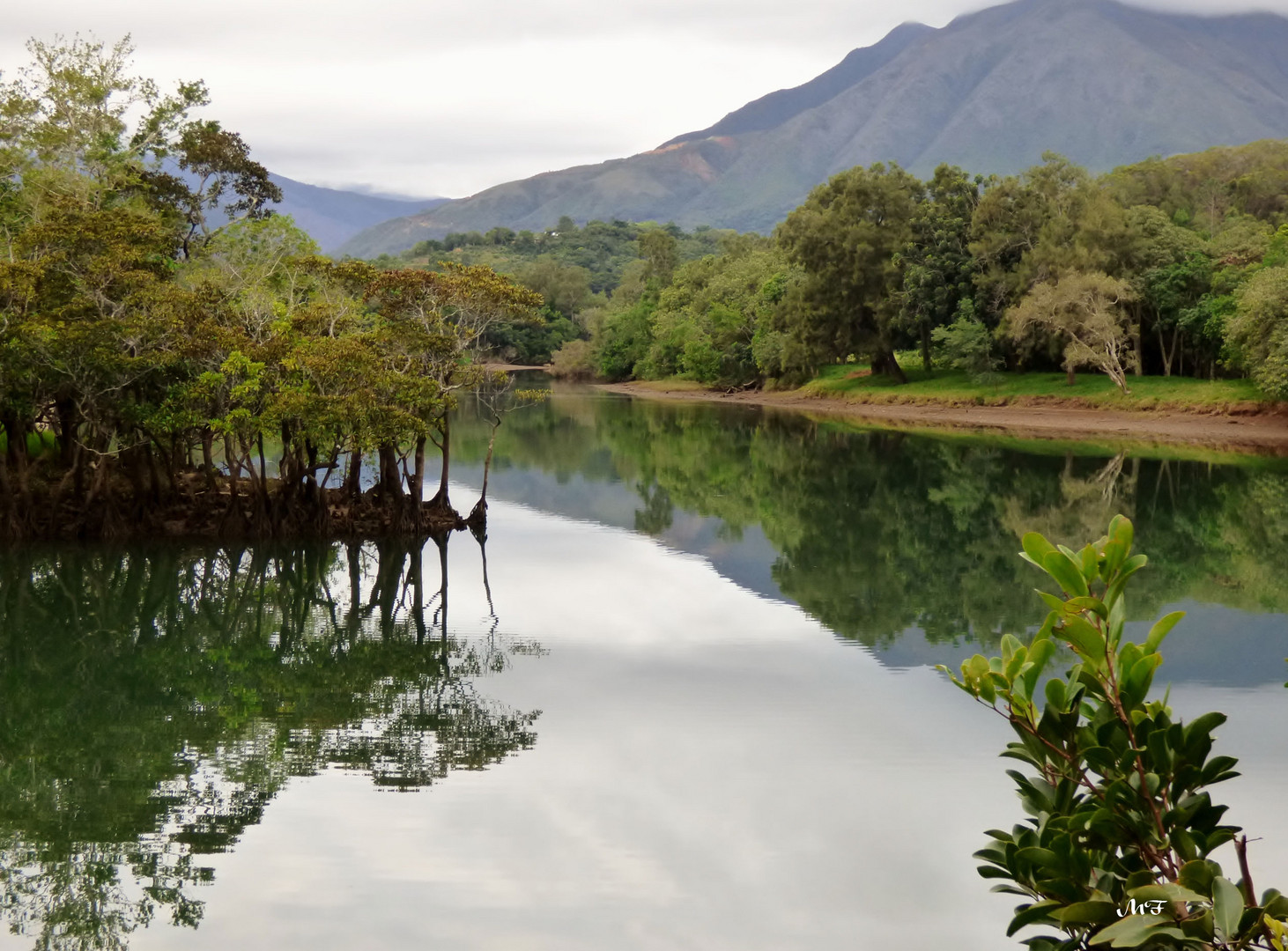 Reflets dans la rivière