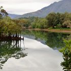 Reflets dans la rivière