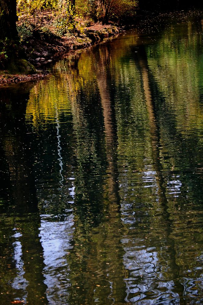 reflets dans l'eau