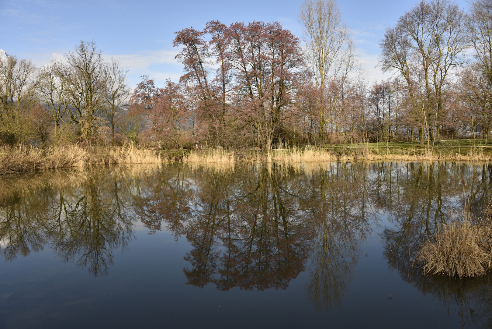 Reflets dans l'eau