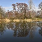 Reflets dans l'eau