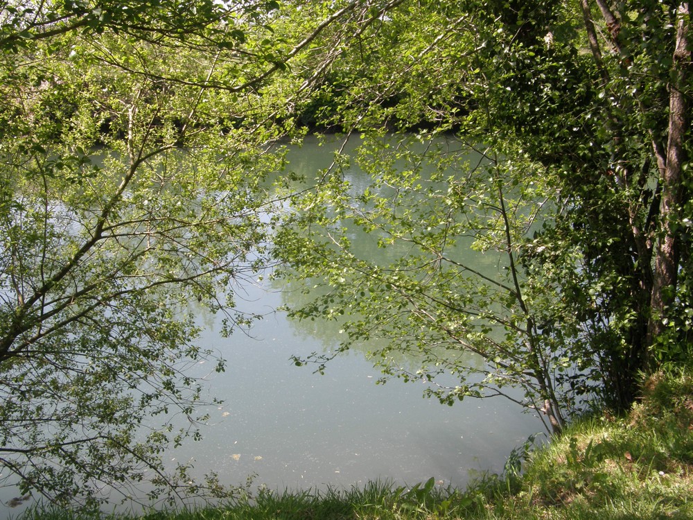Reflets dans l eau photo et image nature eau reflets Reflets dans l eau photo et image nature eau reflets