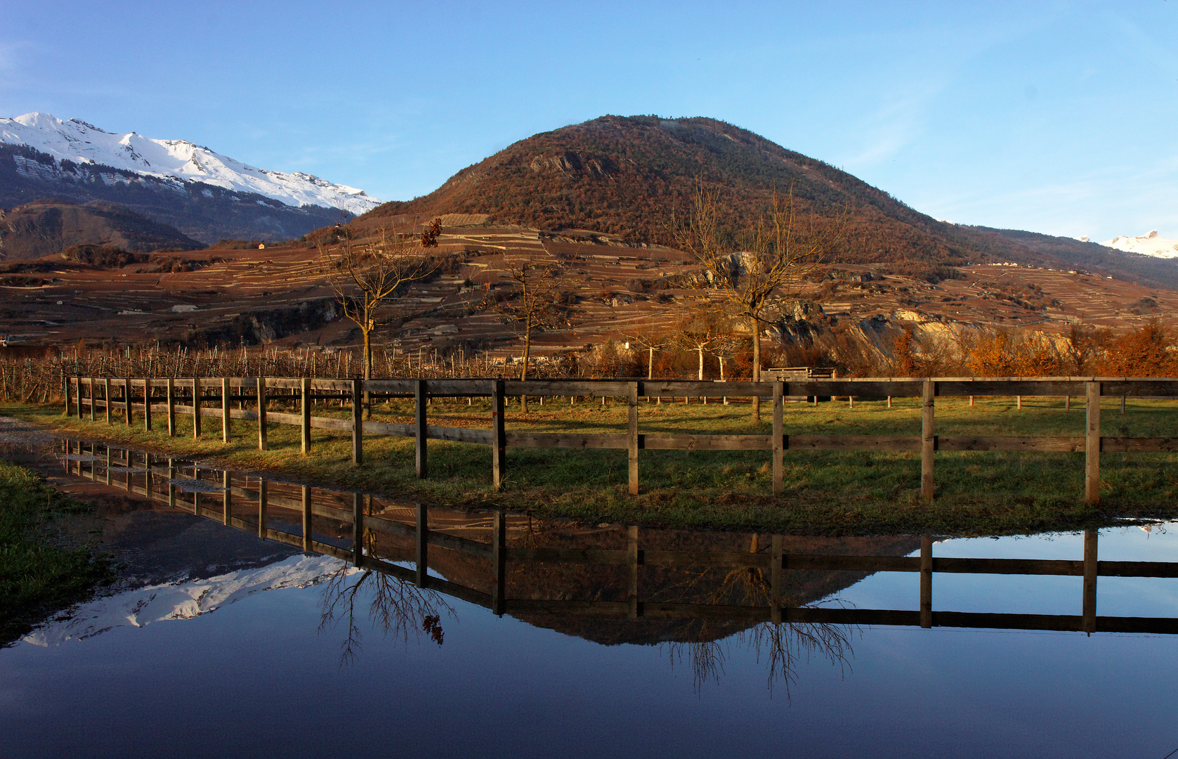 Reflets dans une flaque d'eau.