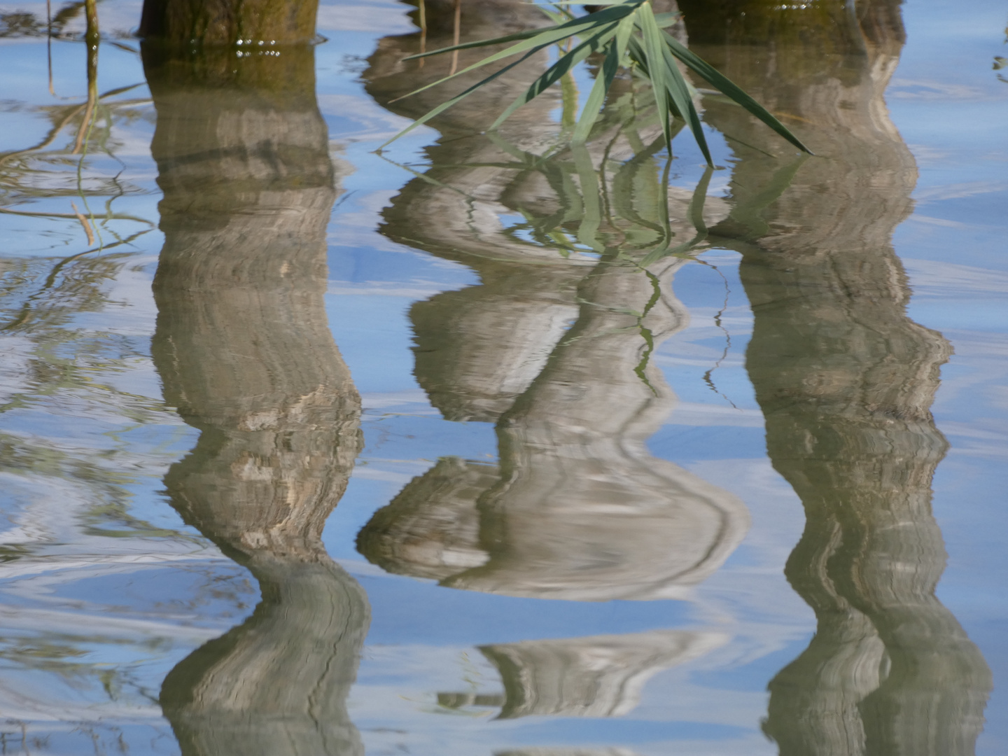 Reflets dansants