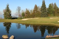 reflets d'arbres