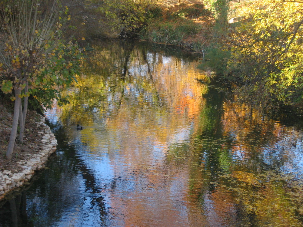 reflets d'Argens