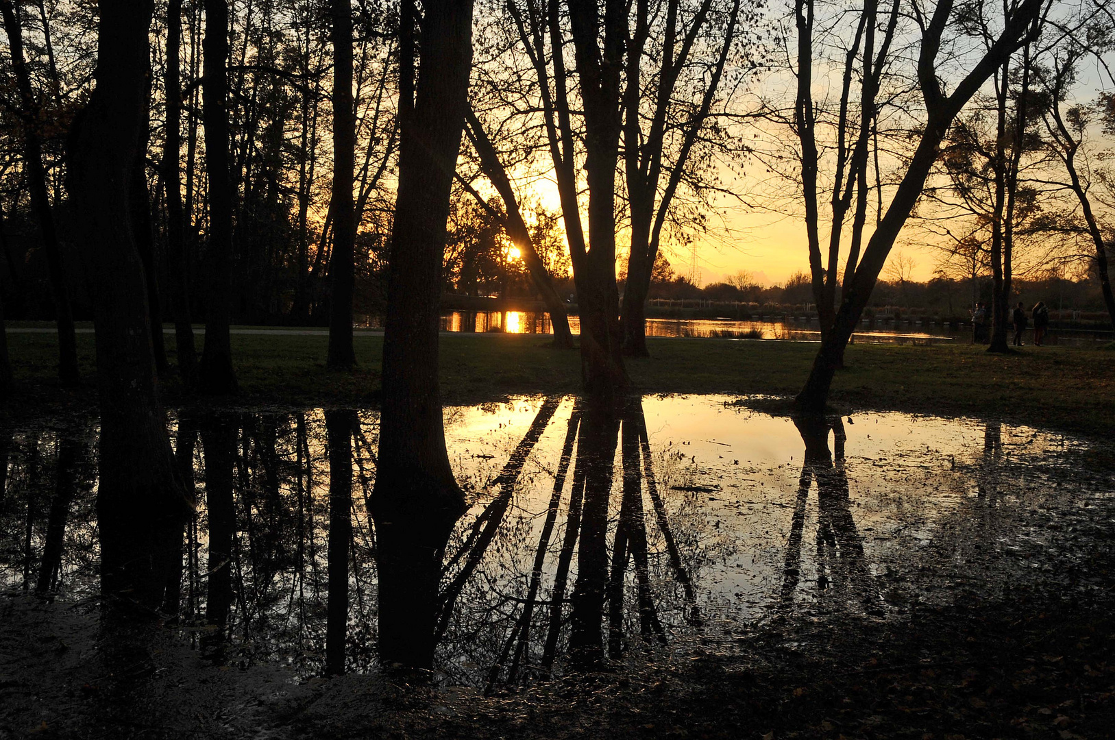 reflets d'automne (1) 