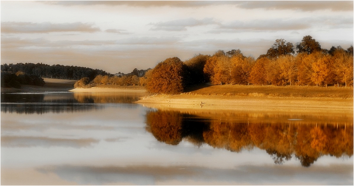 reflets d'automne