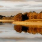 reflets d'automne