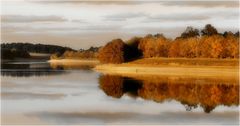 reflets d'automne