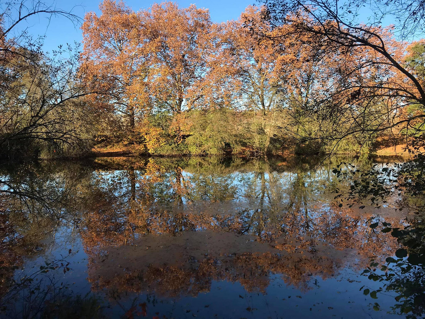 reflets d'automne (2) ! **