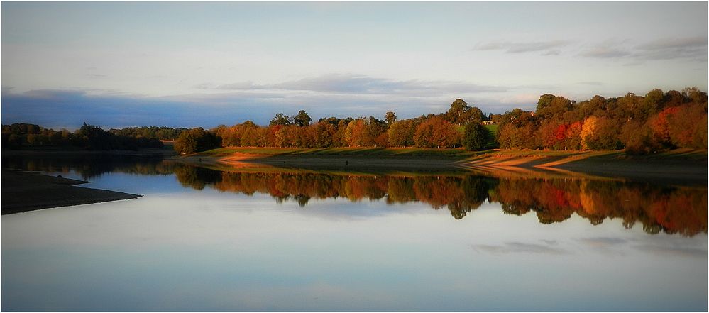 reflets d'automne