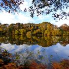 Reflets d'automne