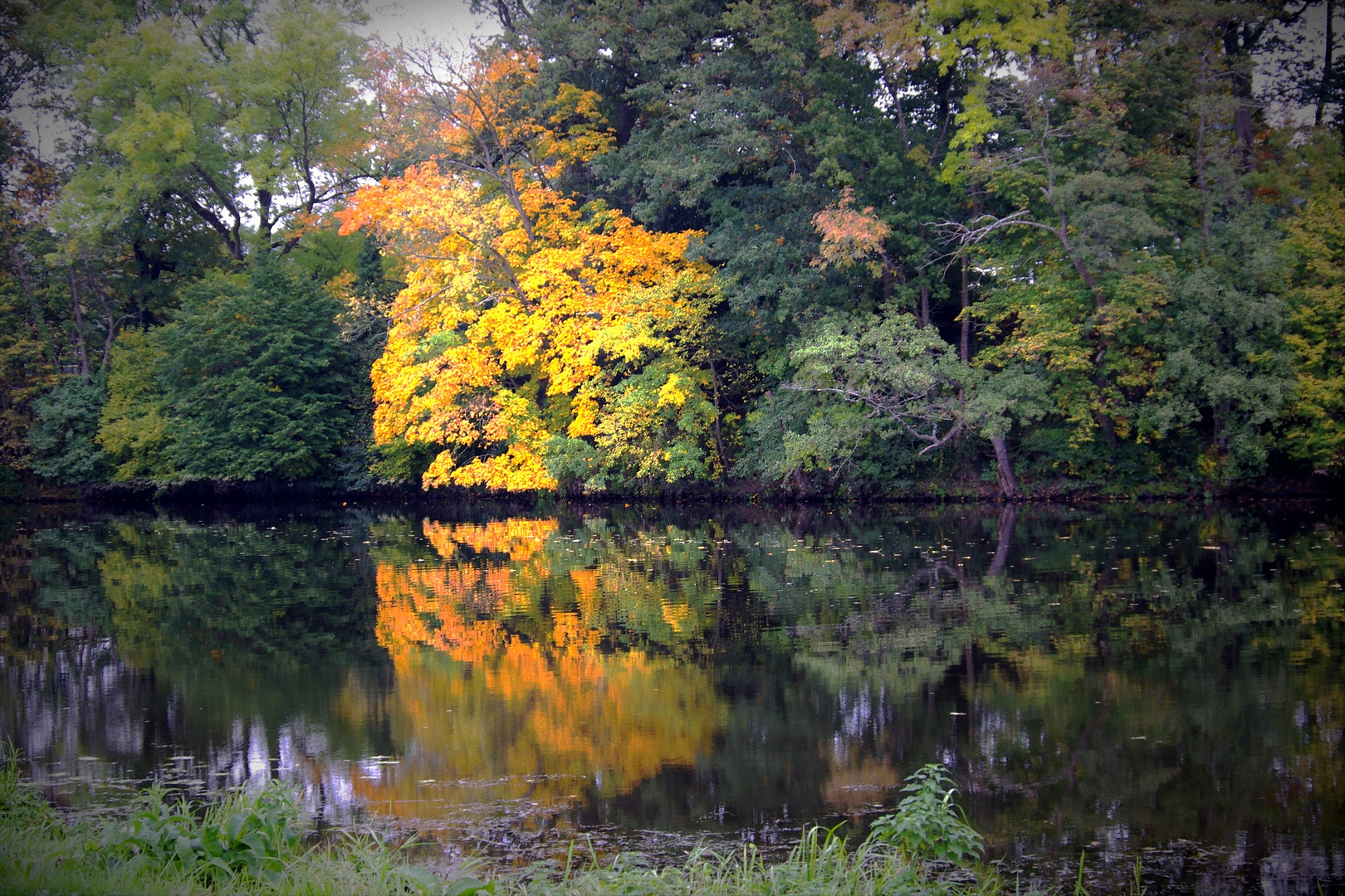 reflets d'automne 