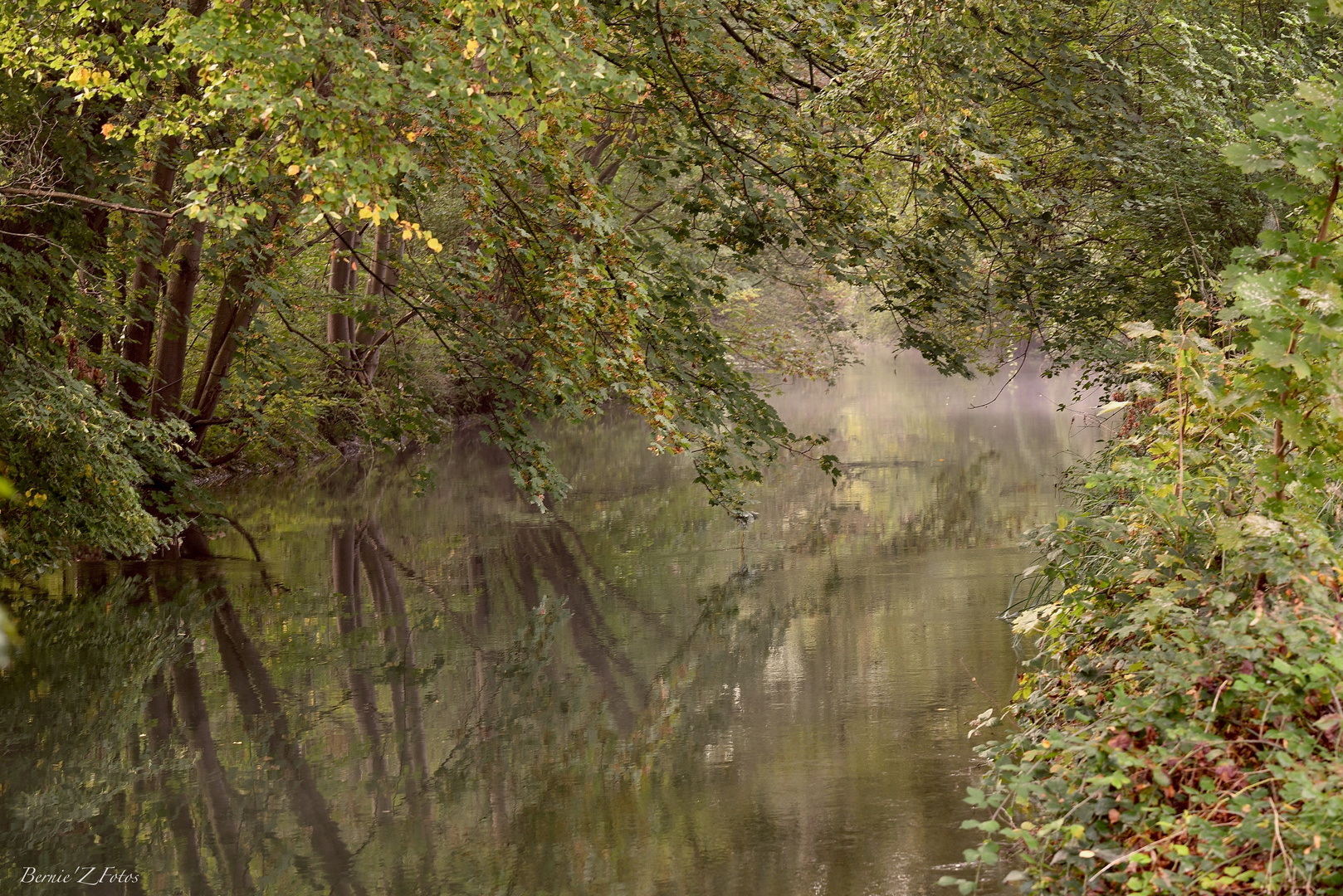 Reflets d'automne